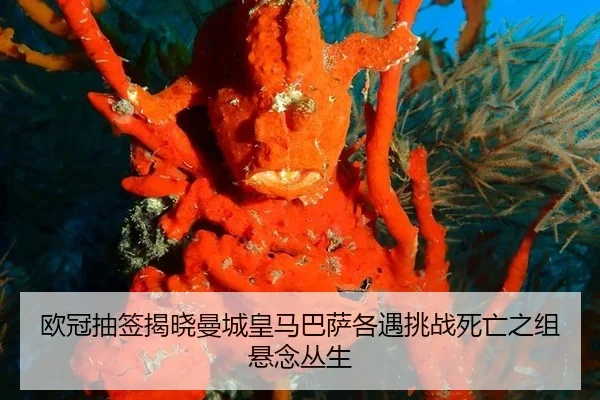欧冠抽签揭晓曼城皇马巴萨各遇挑战死亡之组悬念丛生